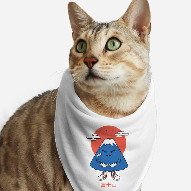 Boy Fuji-Cat-Bandana-Pet Collar-vp021