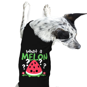 What A Melon