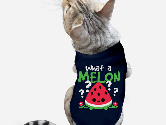 What A Melon