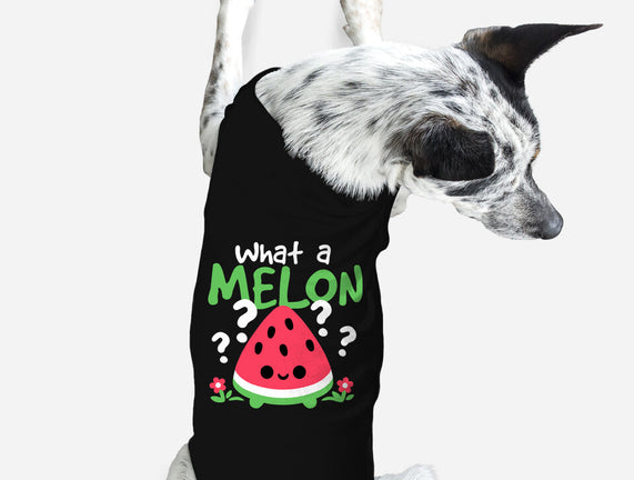 What A Melon