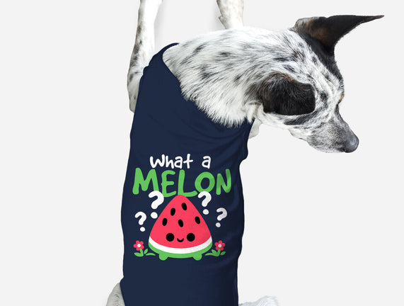 What A Melon