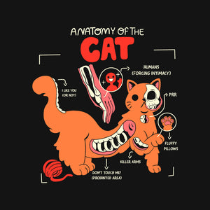 Anatomy Of The Cat