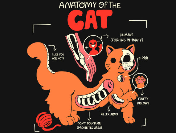 Anatomy Of The Cat