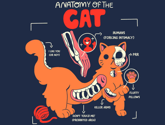 Anatomy Of The Cat