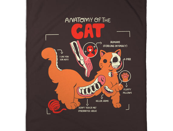 Anatomy Of The Cat