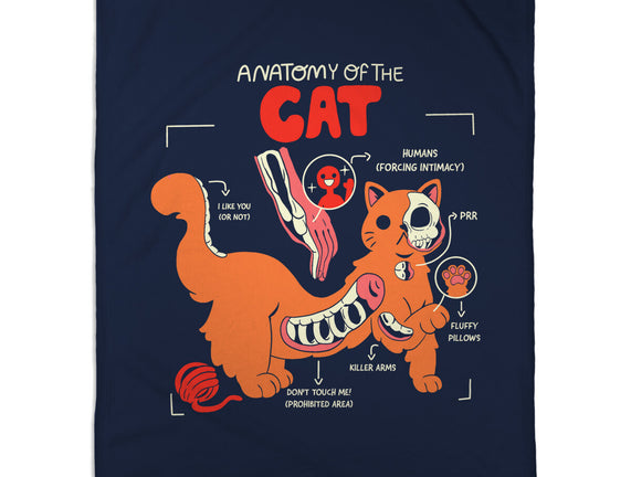 Anatomy Of The Cat