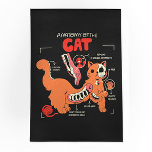 Anatomy Of The Cat