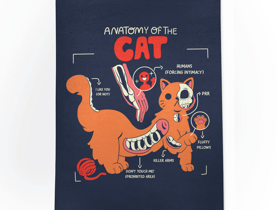 Anatomy Of The Cat