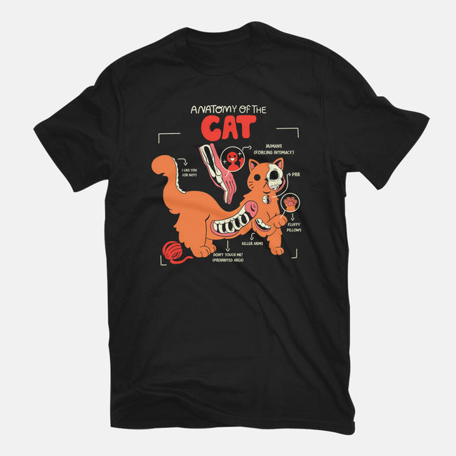 Anatomy Of The Cat-Womens-Fitted-Tee-yumie