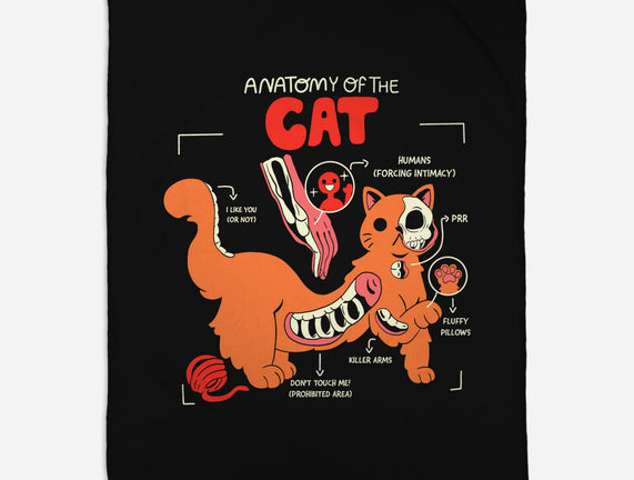 Anatomy Of The Cat