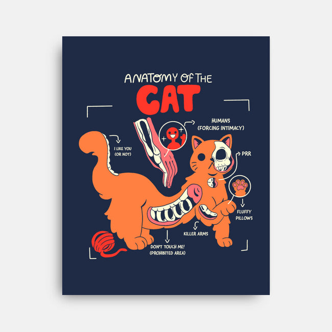 Anatomy Of The Cat-None-Stretched-Canvas-yumie