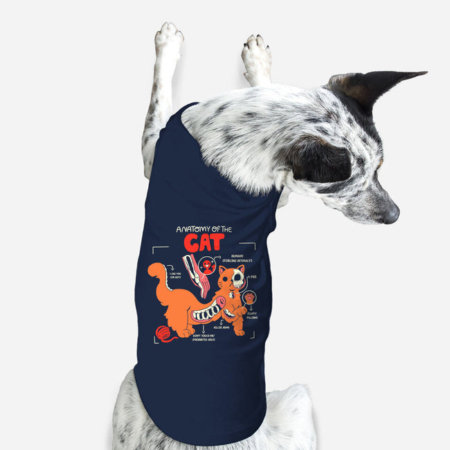 Anatomy Of The Cat-Dog-Basic-Pet Tank-yumie