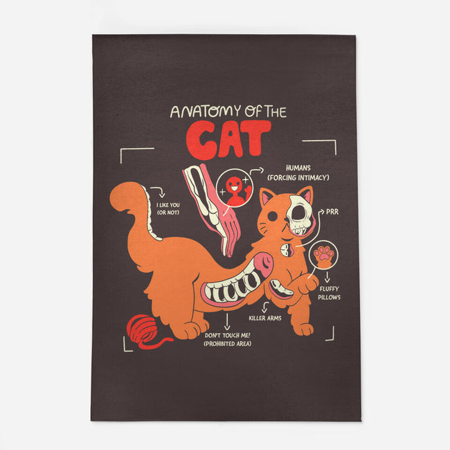 Anatomy Of The Cat-None-Outdoor-Rug-yumie