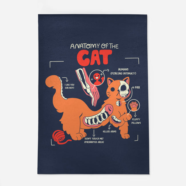 Anatomy Of The Cat-None-Outdoor-Rug-yumie