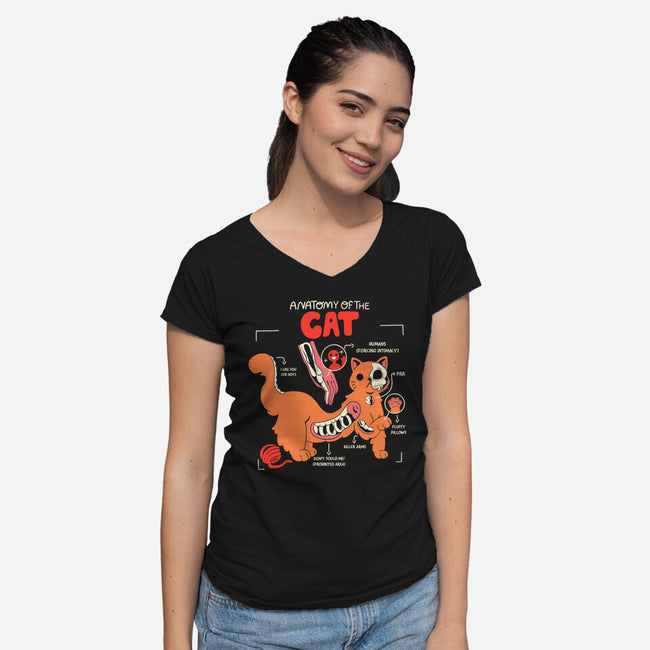 Anatomy Of The Cat-Womens-V-Neck-Tee-yumie