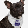 You're Already Accepted-Dog-Bandana-Pet Collar-kg07