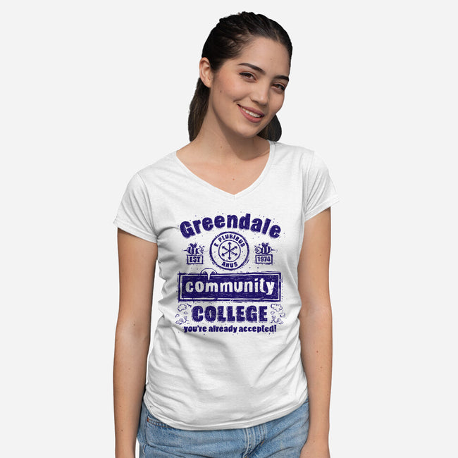 You're Already Accepted-Womens-V-Neck-Tee-kg07