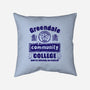 You're Already Accepted-None-Removable Cover w Insert-Throw Pillow-kg07