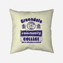 You're Already Accepted-None-Removable Cover w Insert-Throw Pillow-kg07