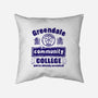 You're Already Accepted-None-Removable Cover w Insert-Throw Pillow-kg07