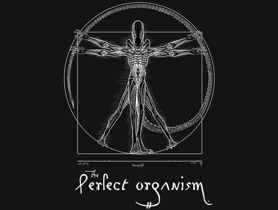 Perfect Organism