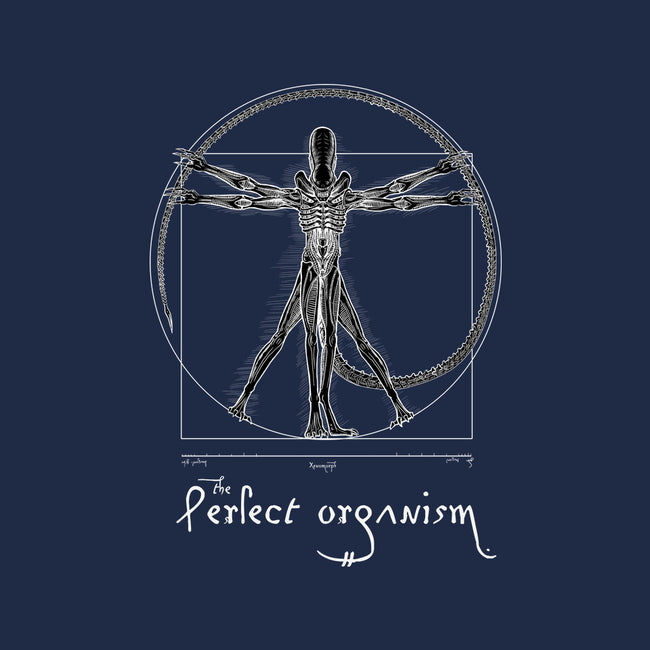 Perfect Organism-Womens-Fitted-Tee-daobiwan