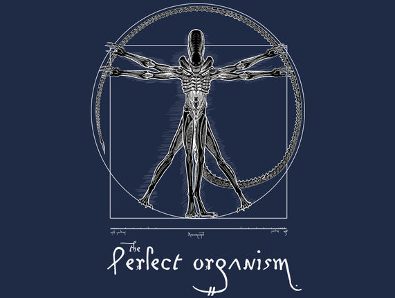 Perfect Organism