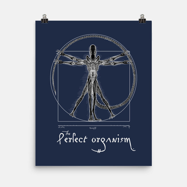 Perfect Organism-None-Matte-Poster-daobiwan