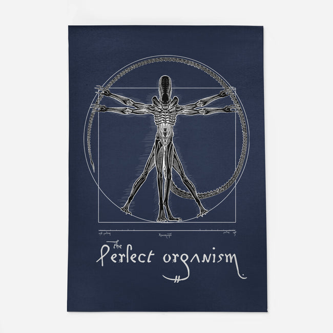 Perfect Organism-None-Indoor-Rug-daobiwan