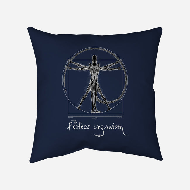 Perfect Organism-None-Non-Removable Cover w Insert-Throw Pillow-daobiwan