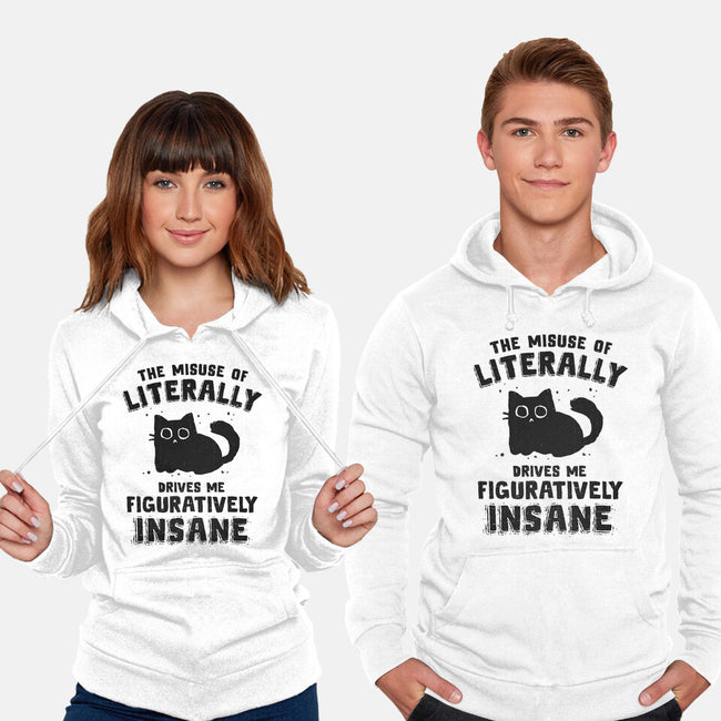 Figuratively Insane-Unisex-Pullover-Sweatshirt-kg07