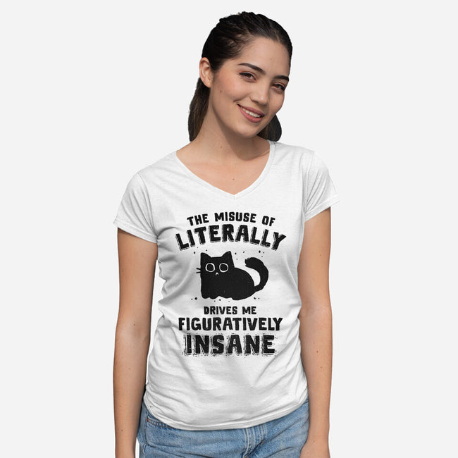 Figuratively Insane-Womens-V-Neck-Tee-kg07