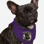 Black Cat Movie Knight-Dog-Bandana-Pet Collar-Studio Mootant