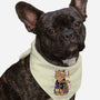 X-Ray Kaiju Cat-Dog-Bandana-Pet Collar-vp021