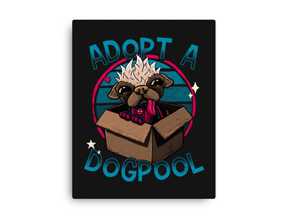 Adopt A Dogpool