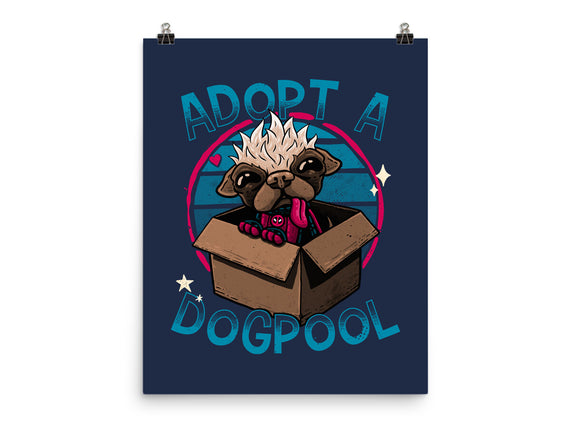 Adopt A Dogpool