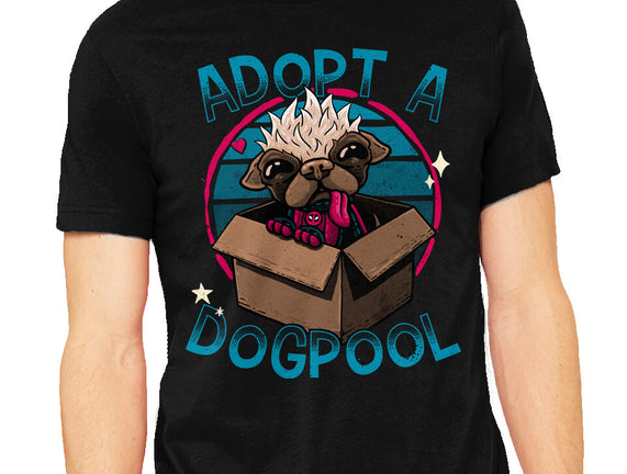 Adopt A Dogpool