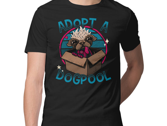 Adopt A Dogpool