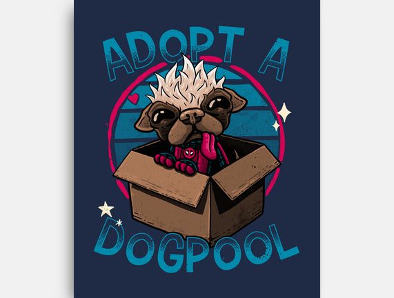 Adopt A Dogpool