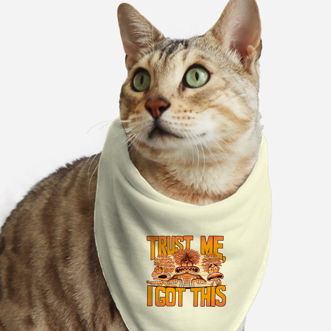 Trust Me I Got This-Cat-Bandana-Pet Collar-rmatix