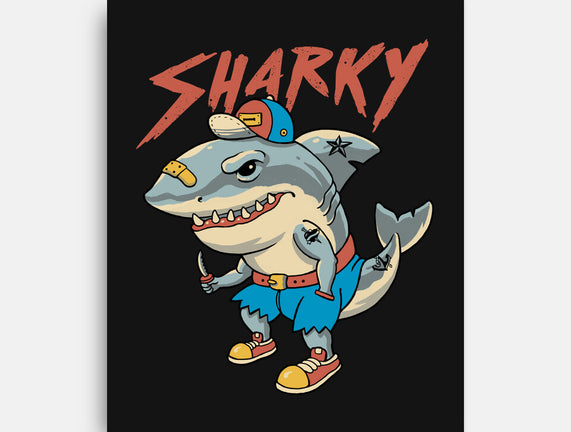 Sharky Boy