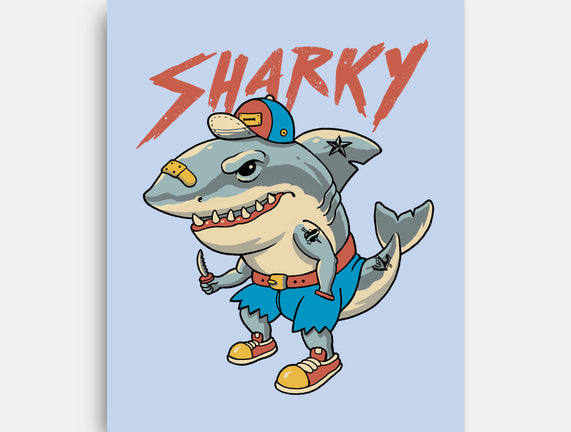 Sharky Boy