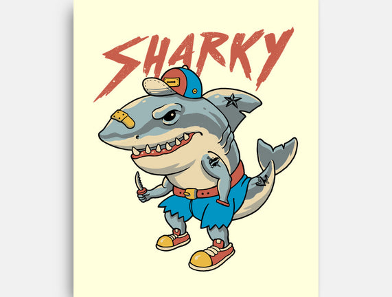 Sharky Boy