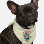 Sharky Boy-Dog-Bandana-Pet Collar-vp021