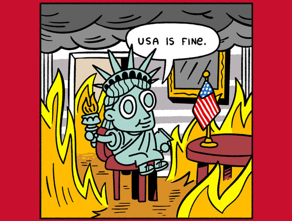 USA Is Fine