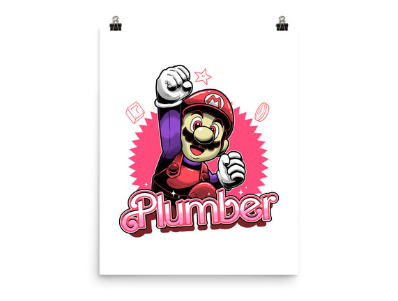 The Plumber