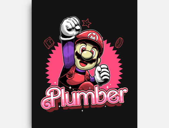 The Plumber