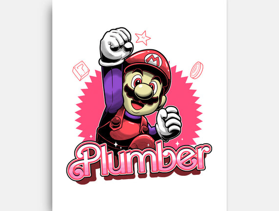 The Plumber