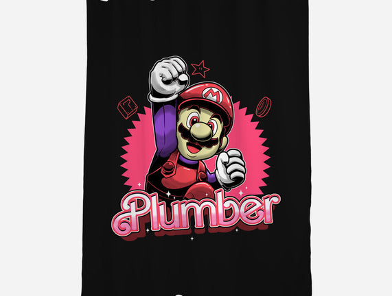 The Plumber