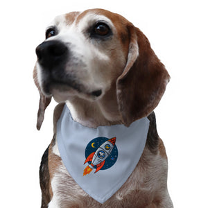 Space Beagle